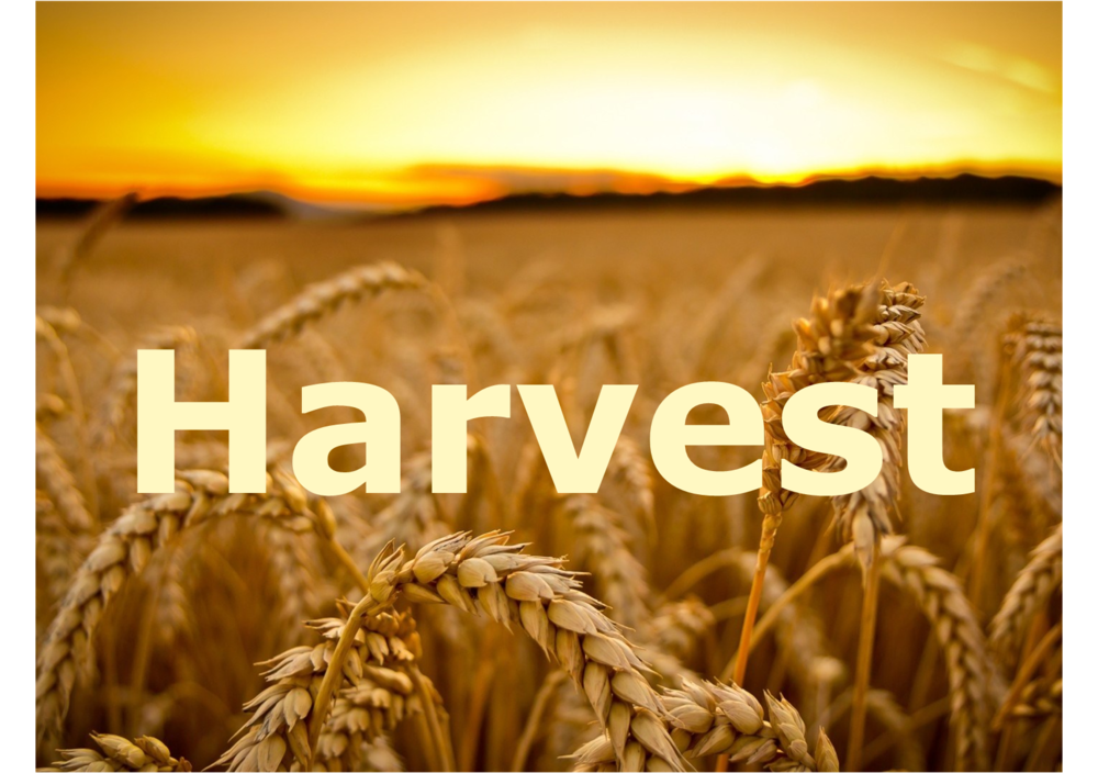 Image result for harvest