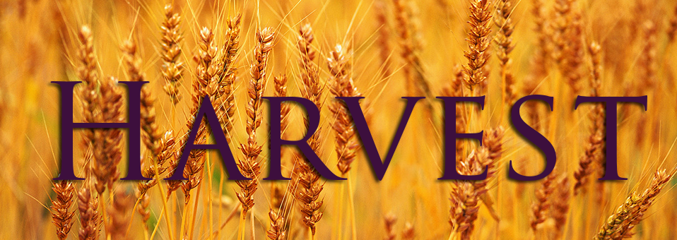 Harvest-banner - Black Country Food Bank